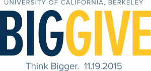 Big Give 2016