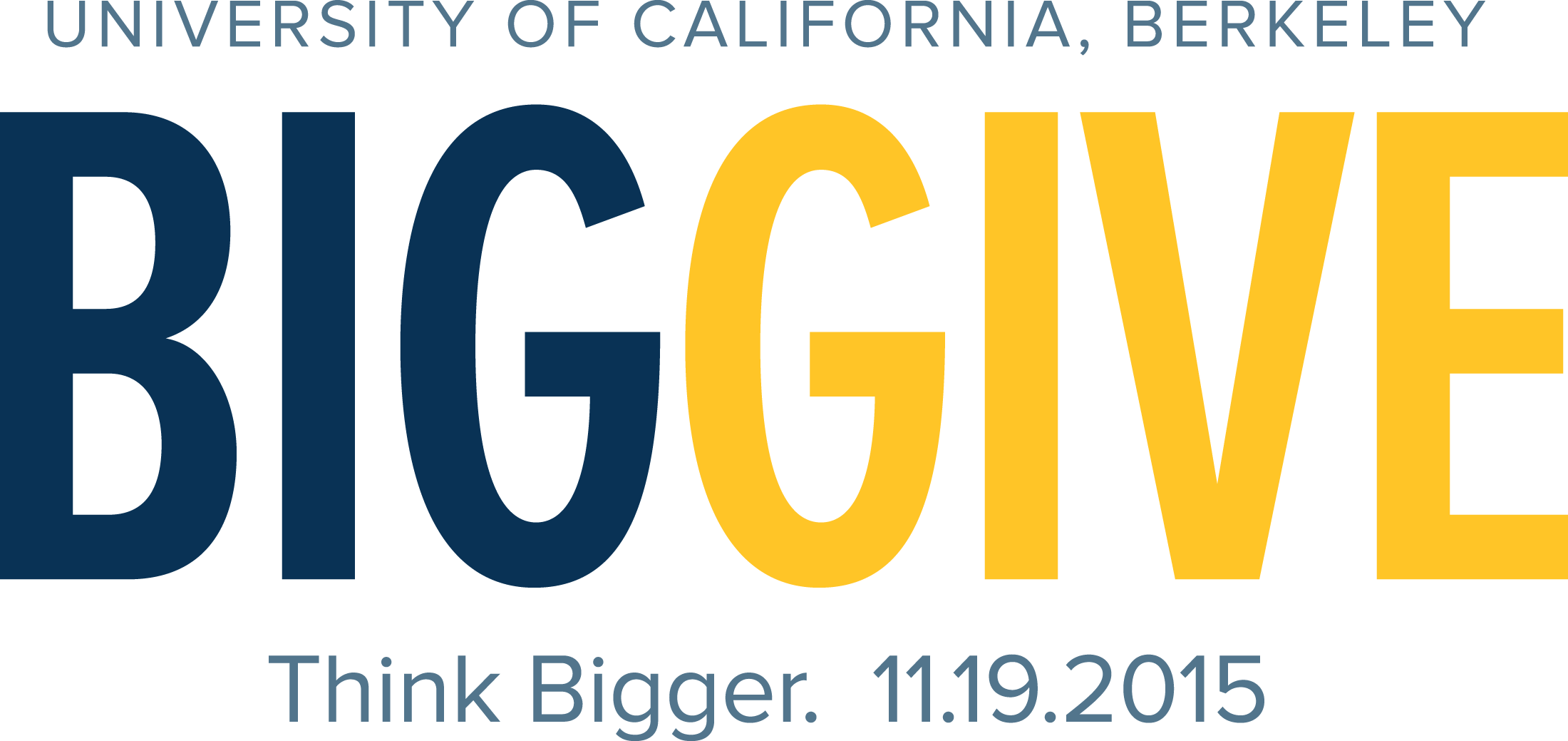 Big Give 2016