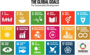 Sustainable Development Goals (SDGs)